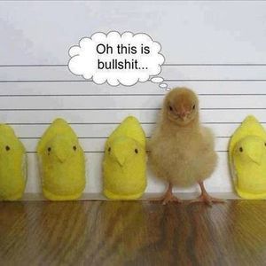 Meet your Posher, Mary